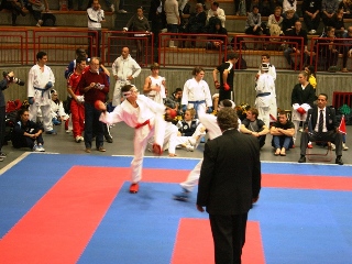 Image description